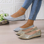 A pair of women's glitter pointed toe flats by Arenzza with a shiny, sparkling surface and sleek design, perfect for stylish footwear.