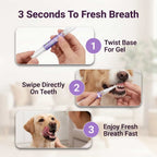 Arenzza Pet Dental Care Gel showing four-step process for brush-free tartar removal on a dog’s teeth.