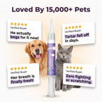 Arenzza Pet Dental Care Gel for tartar removal, featuring a brush-free design, shown on a clean surface with dental tools.