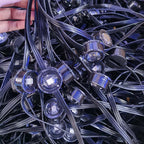 Arenzza Smart RGB outdoor light string with colorful LED bulbs for festive holiday outdoor decorating.