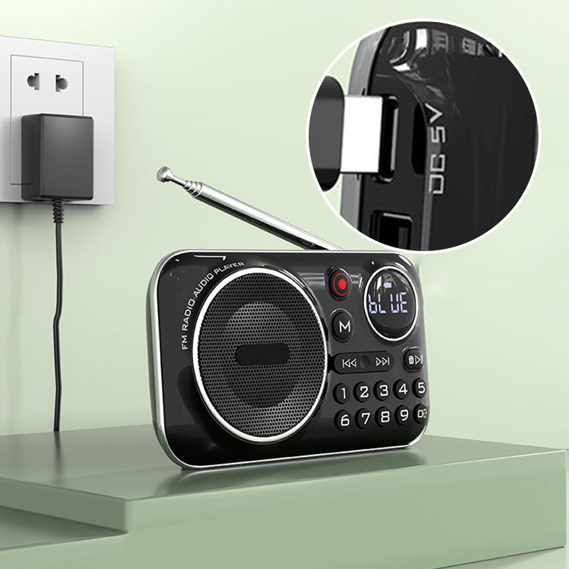 Arenzza multifunctional portable Bluetooth radio and recorder with control buttons and display screen, in black color.