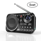 Arenzza portable Bluetooth radio and recorder in black with control buttons, display screen, and built-in microphone on a white background.