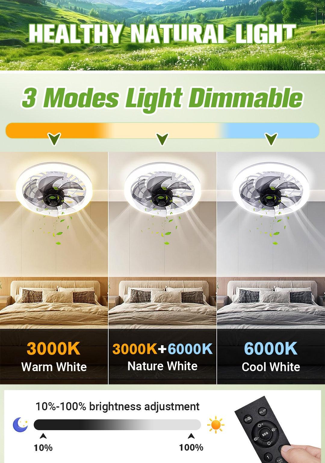 Arenzza 2-in-1 mute adjustable fan with light and remote control, shown with fan blades, light fixture, and remote in view.