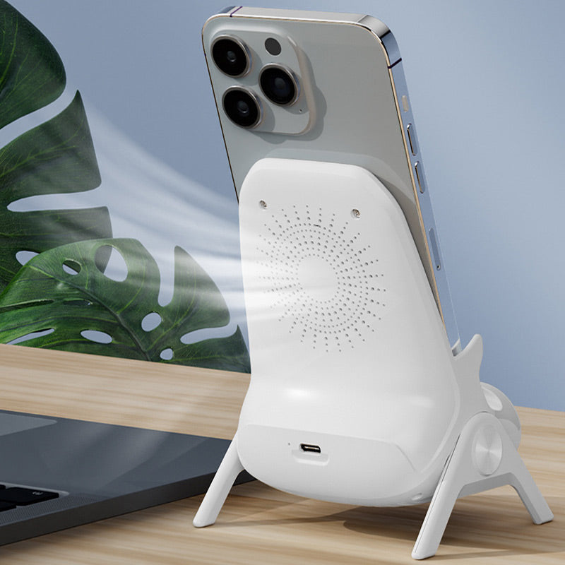 Arenzza multifunctional wireless fast charger phone stand with space for smartphone and accessories, black electronic accessory.