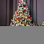 Arenzza Christmas string lights with colorful LED bulbs, perfect for holiday decoration and festive outdoor or indoor displays.