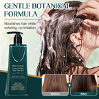 Arenzza Mild Formula Long Lasting Hair Dye Set with multiple hair color tubes, ideal for at-home hair coloring and styling.
