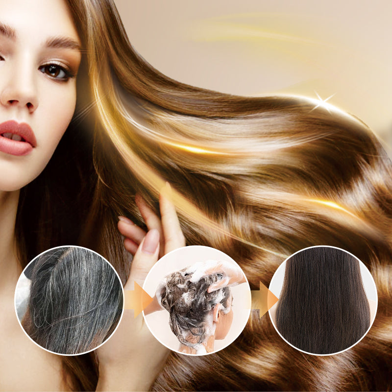 Arenzza Long Lasting Natural Hair Dye Shampoo bottle with label, displayed upright on a white background.