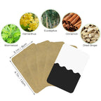Arenzza Ginger Patches for pain relief, health and beauty product, showing the adhesive patches on a white background.