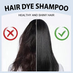 Arenzza 3-in-1 hair coloring shampoo with plant extracts, showing a bottle with vibrant hair and natural ingredients.