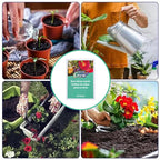 Organic fertilizer sticks for plants by Arenzza, slow-release plant nutrient sticks in a natural home and garden setting.