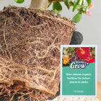 Arenzza slow-release organic fertilizer sticks for garden plants, shown in a natural outdoor setting with green foliage.