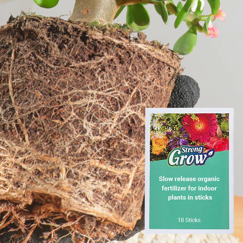 Arenzza slow-release organic fertilizer sticks for garden plants, shown in a natural outdoor setting with green foliage.