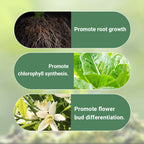 Arenzza slow-release organic fertilizer sticks for plants, showing several green fertilizer sticks in a natural setting.