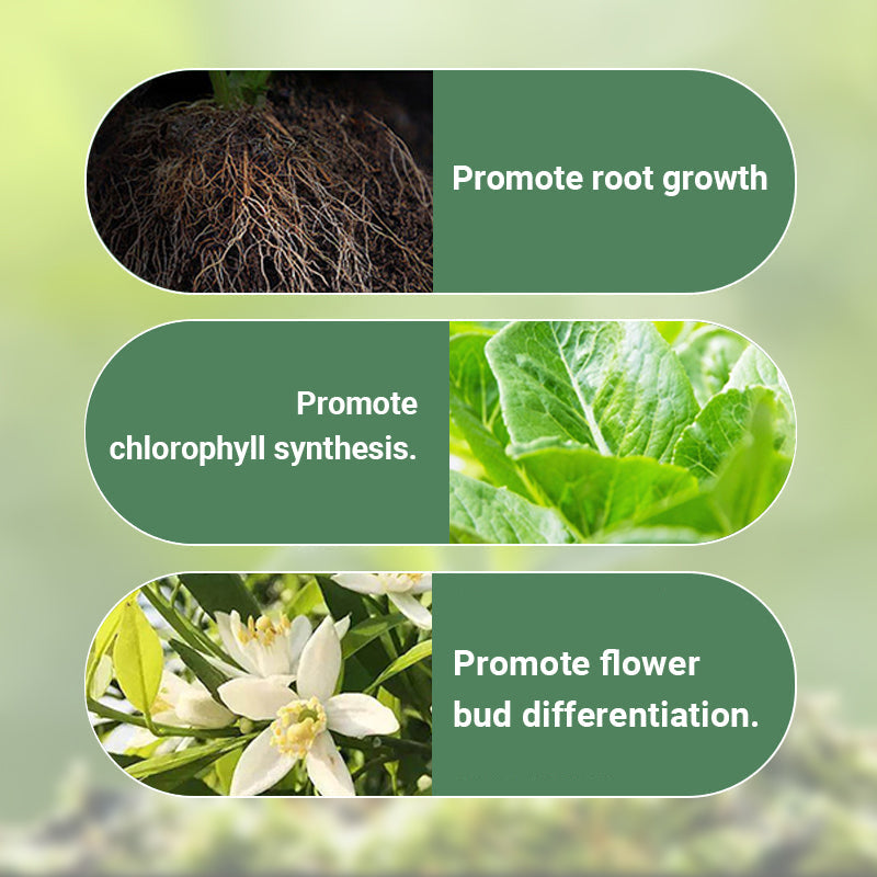 Arenzza slow-release organic fertilizer sticks for plants, showing several green fertilizer sticks in a natural setting.