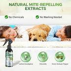 Arenzza Power Insect Repellent spray bottle used for mosquito and fly control in home and garden, with a spray nozzle and label visible.