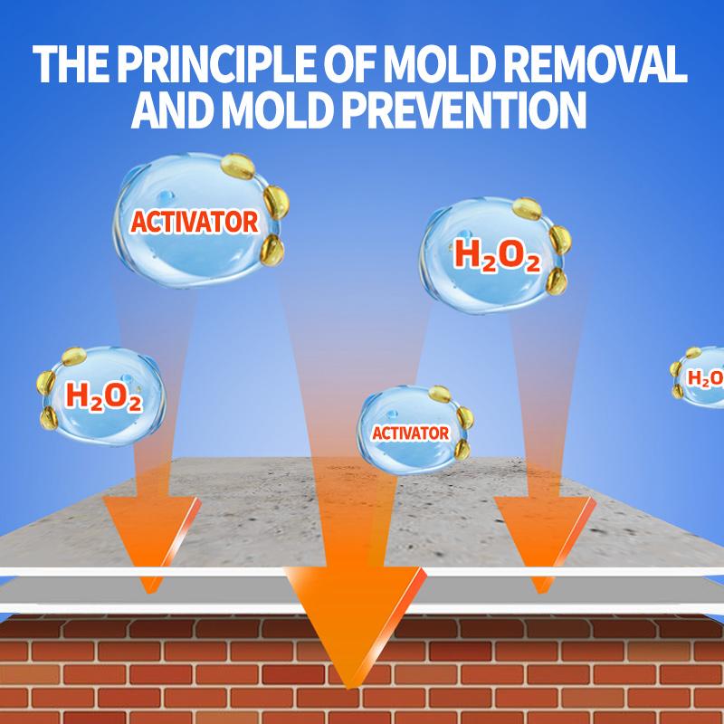 Arenzza Lanwexy mold removal spray bottle for household cleaning, designed to prevent mold regrowth on surfaces.