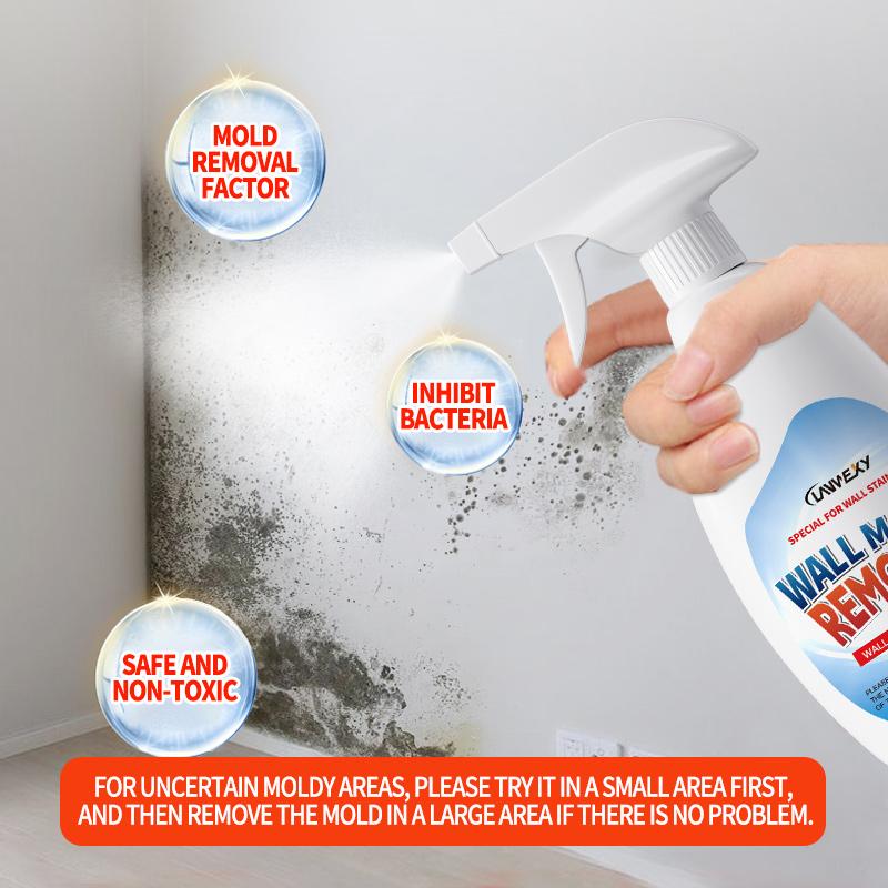 Arenzza Lanwexy mould removal spray bottle for household cleaning, featuring a spray nozzle and label with product details.
