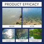 Arenzza Crystal Clear Water Clarifier for ponds and aquariums, showing a clean, clear water tank with fish and shrimp.