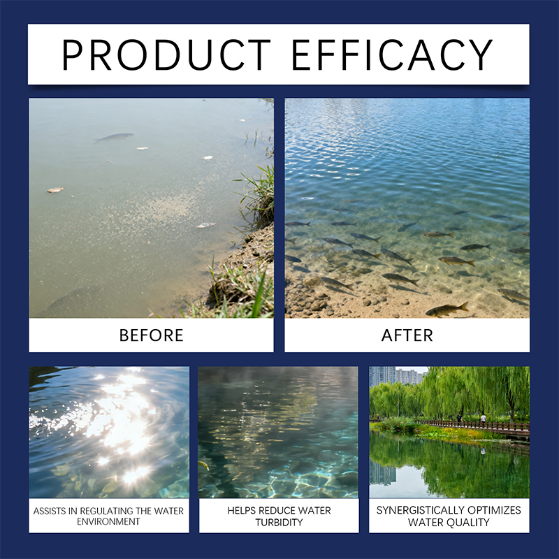 Arenzza Crystal Clear Water Clarifier for ponds and aquariums, showing a clean, clear water tank with fish and shrimp.