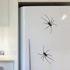 Realistic spider fridge magnet from Arenzza, suitable for refrigerators, garage doors, or cars, made of durable houseware material.