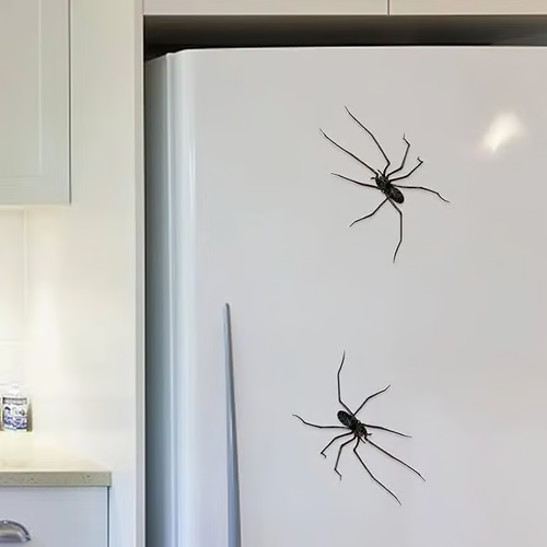 Realistic spider fridge magnet from Arenzza, suitable for refrigerators, garage doors, or cars, made of durable houseware material.