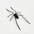 Realistic black spider fridge magnet from Arenzza on a refrigerator door, perfect for houseware and kitchen decor.