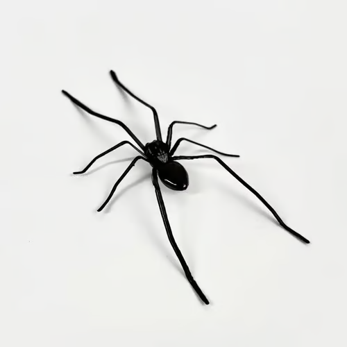 Realistic black spider fridge magnet from Arenzza on a refrigerator door, perfect for houseware and kitchen decor.