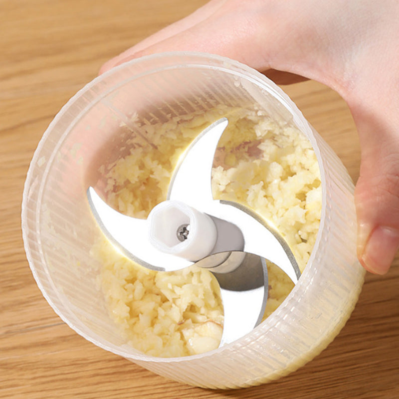 Arenzza cordless mini electric garlic chopper with transparent container, stainless steel blades, and compact design for easy kitchen use.