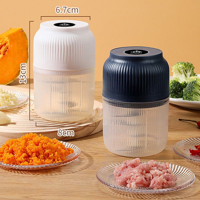Arenzza cordless mini electric garlic chopper in stainless steel with black handle, compact kitchen houseware for efficient garlic processing.
