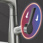 Arenzza single-hole bathroom faucet with pull-out sprayer, modern houseware kitchen fixture with sleek design and chrome finish.
