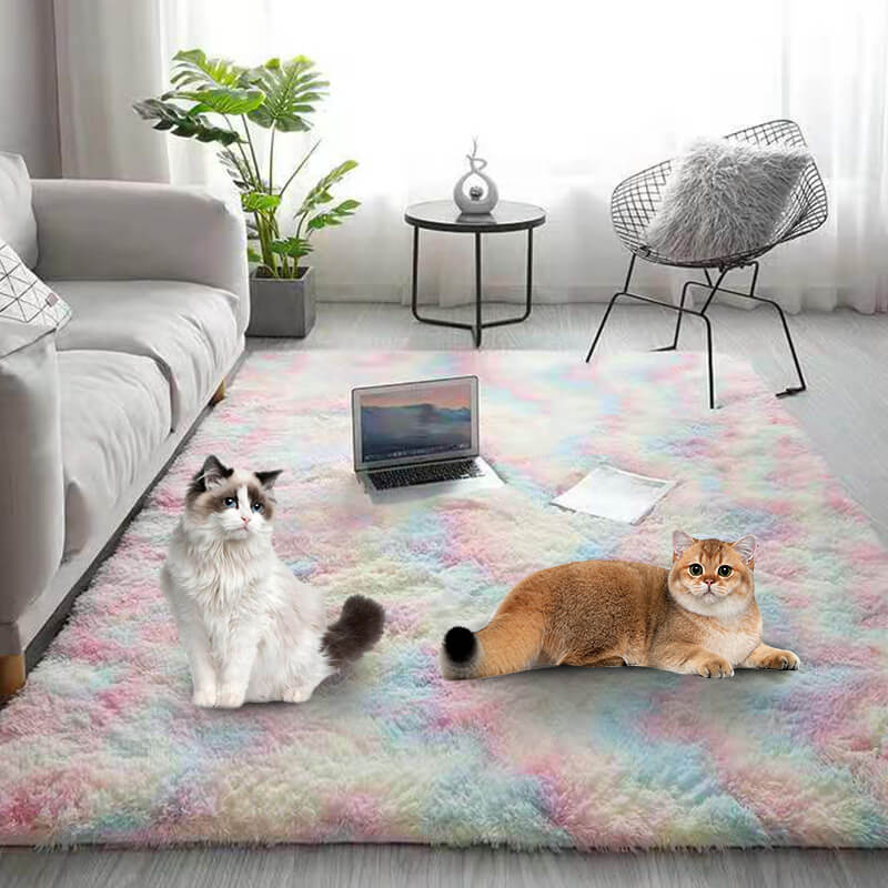 Aarenza gradient color plush floor mat in vibrant shades, soft and comfortable for house and kitchen use.