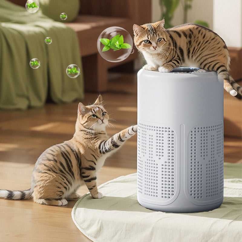 Arenzza compact home air purifier with sleek white design, shown on a modern living room table, ideal for allergies, dust, and pet hair.