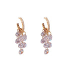 A pair of Arenzza crystal tassel earrings with sparkling crystal beads and silver hooks, hanging gracefully against a white background.