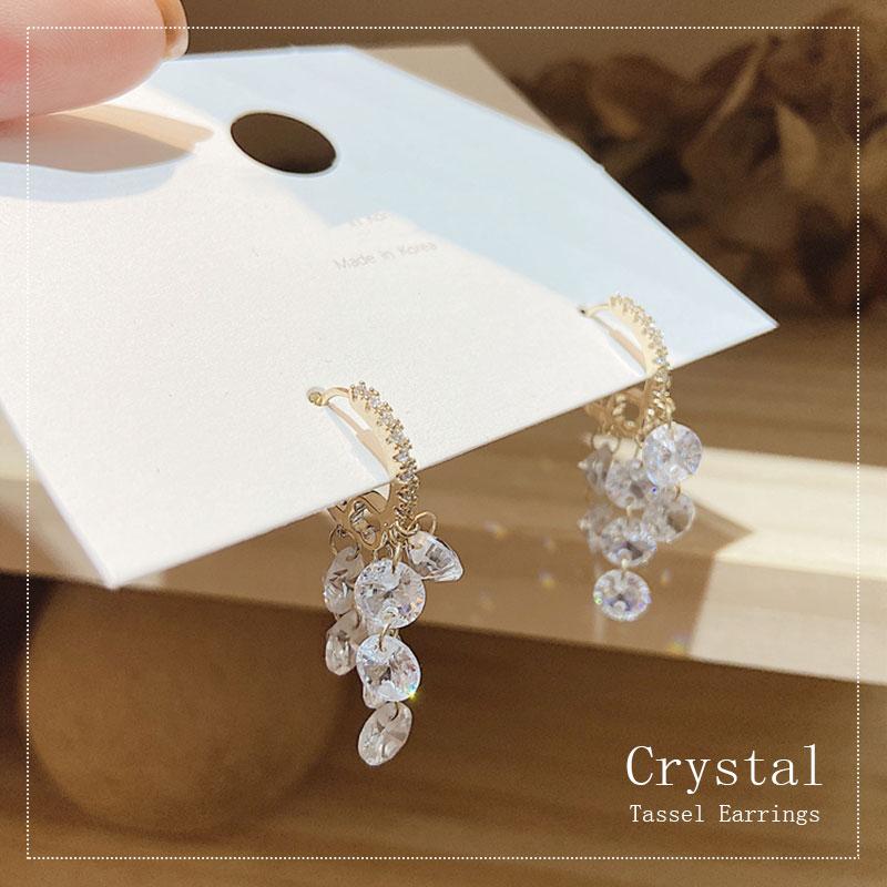 A pair of Arenzza crystal tassel earrings with sparkling crystal beads and silver hooks, hanging elegantly as jewelry accessories.