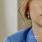 A pair of crystal tassel earrings from Arenzza Jewelry Accessories featuring sparkling crystal beads and elegant tassel design.