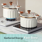Aarenzza multifunctional non-stick micro pressure cooker in a kitchen setting with a sleek design and digital controls.