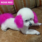 Arenzza non-toxic pet hair dye in a colorful container, suitable for safe pet grooming and hair coloring.