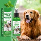 Arenzza Natural Flea and Tick Spray for dogs and cats in a spray bottle, with a label showing natural ingredients and pet safety.