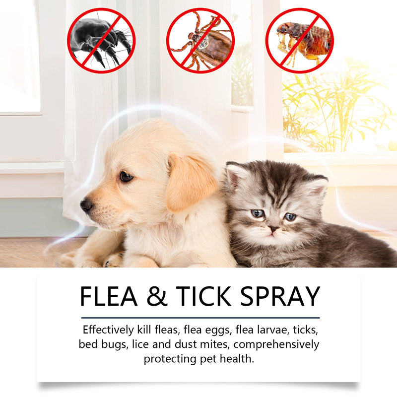 Arenzza Natural Flea and Tick Spray for dogs and cats in a spray bottle, pet supplies for pest prevention.