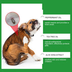 Arenzza Natural Flea and Tick Spray for dogs and cats in a spray bottle, with pet-friendly ingredients visible.