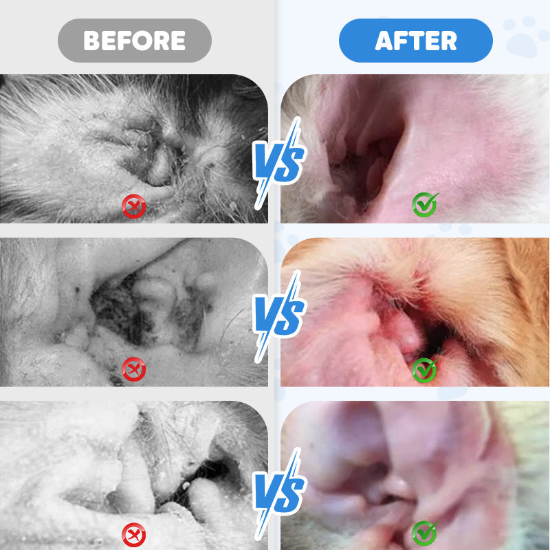 Arenzza ear cleaner for dogs and cats, pet supplies with a sleek applicator for safe and effective ear cleaning.