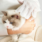 Arenzza gentle pet cleaning no-rinse gloves in use, showing soft gloves designed for easy pet grooming and cleaning.