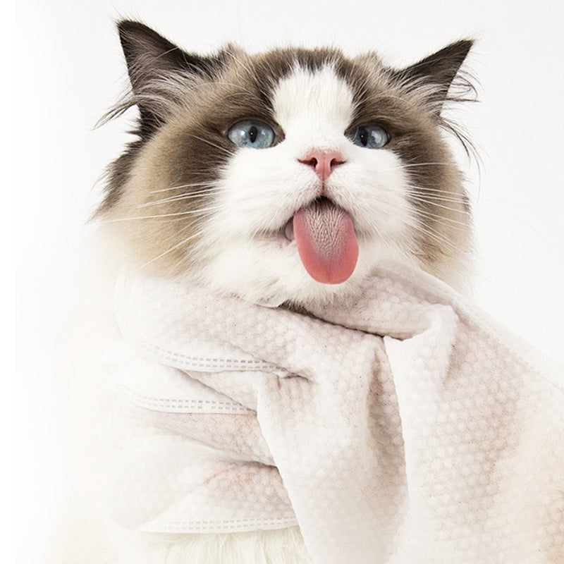 Arenzza gentle pet cleaning no-rinse gloves designed for easy grooming and fur cleaning for dogs and cats.