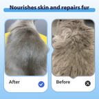 Arenzza Gentle Fresh All-in-One Pet Shampoo bottle with label, designed for pet grooming and cleaning.