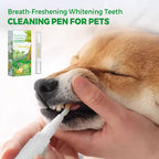 Arenzza pet teeth cleaning pen for fresh breath and whitening, featuring a compact design and pet-safe formula.