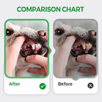 Arenzza pet teeth cleaning pen with freshening and whitening features, designed for easy oral care for dogs and cats.