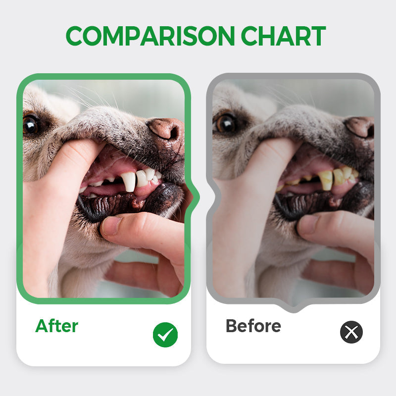 Arenzza pet teeth cleaning pen with freshening and whitening features, designed for easy oral care for dogs and cats.