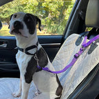 Arenzza 2-in-1 dog car seat belt and walking leash in black, designed for secure travel and outdoor walks with pets.