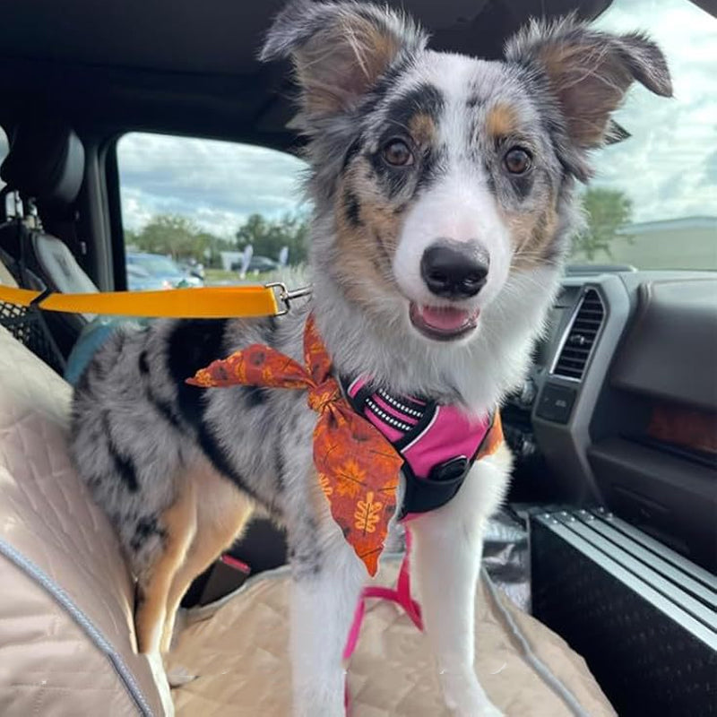 Arenzza 2-in-1 dog car seat belt and walking leash, adjustable pet safety harness and leash for dogs on car rides and walks.