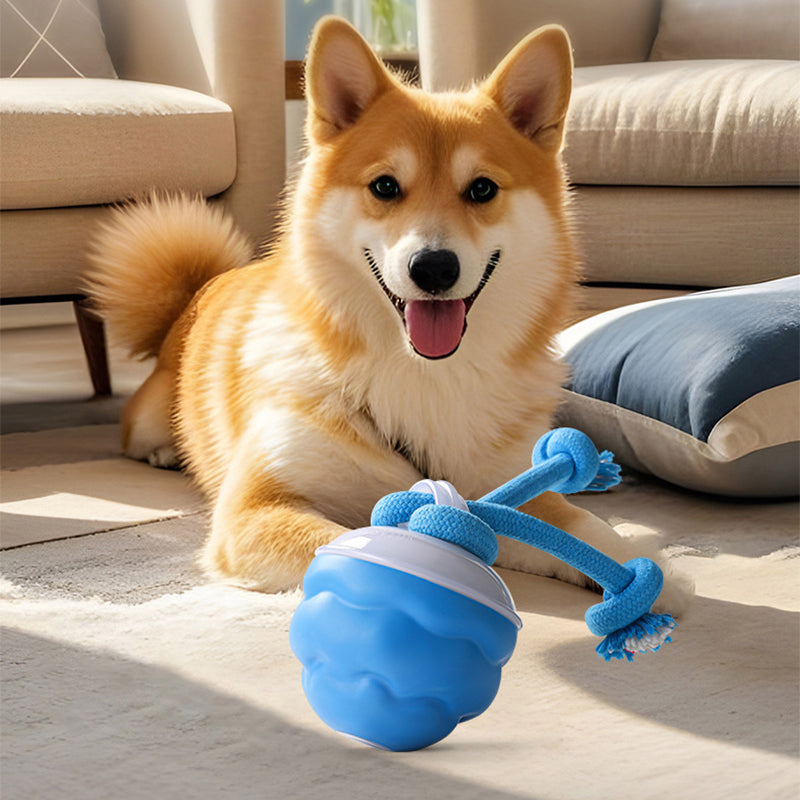 Arenzza interactive electronic pet soothing toy ball with colorful lights and textured surface for engaging pets.